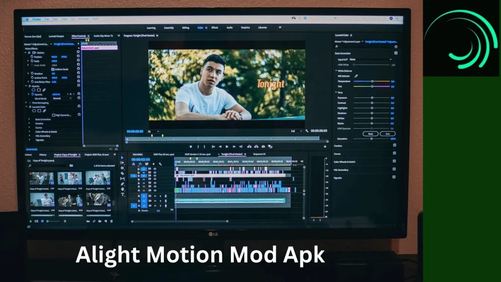 Alight motion mod apk interface